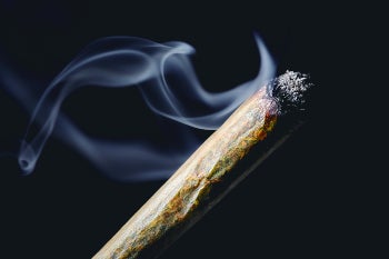Santa Barbara Marijuana Defense Lawyer